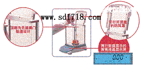 �����P(gu��n)���M(j��n)����ƽ,210g,0.001g
