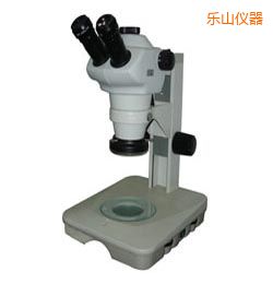 ��(l��)ɽ�r(sh��)���wҕ�@΢�R