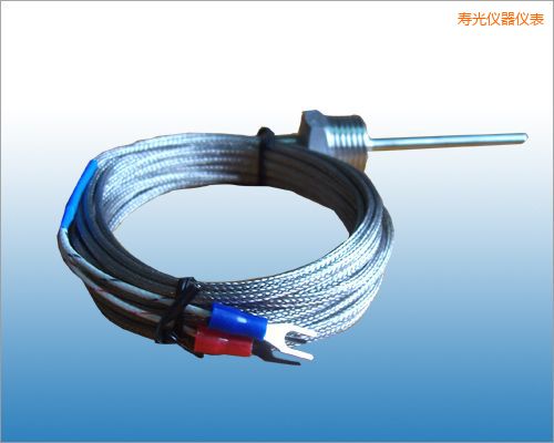 壽光固定熱電偶