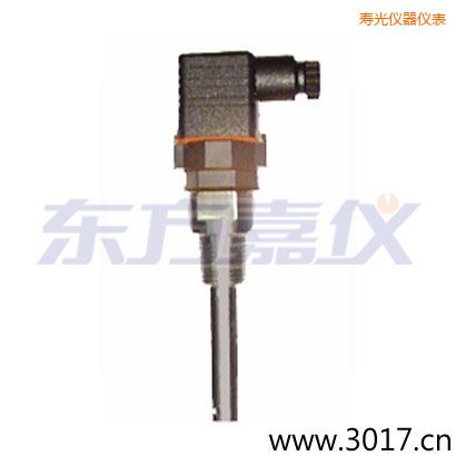 壽光含有溫度的兩線電導(dǎo)率電極
