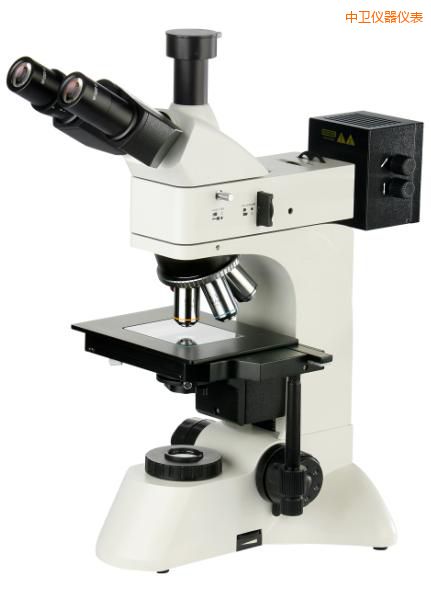 ���l(w��i)͸��������@΢�R